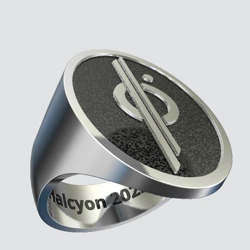 Custom Halcyon Signet Ring - Original Order 20514 - The Custom Brand Shop